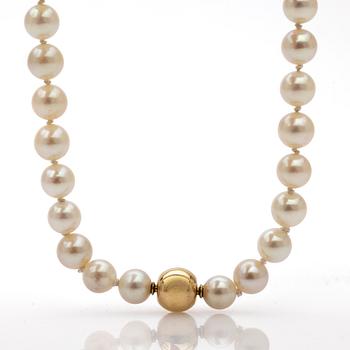 Pearl necklace, clasp in 18k gold.