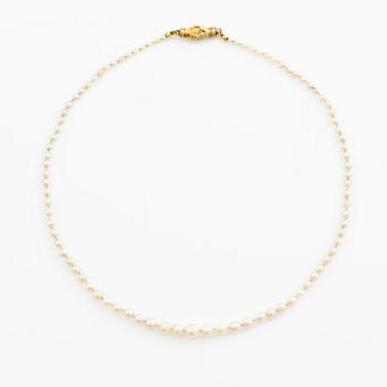 Necklace of pearls with an 18K gold clasp.