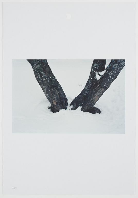 ANDREAS ERIKSSON, portfolio. Signed AE inside the box and numbered 18/250.