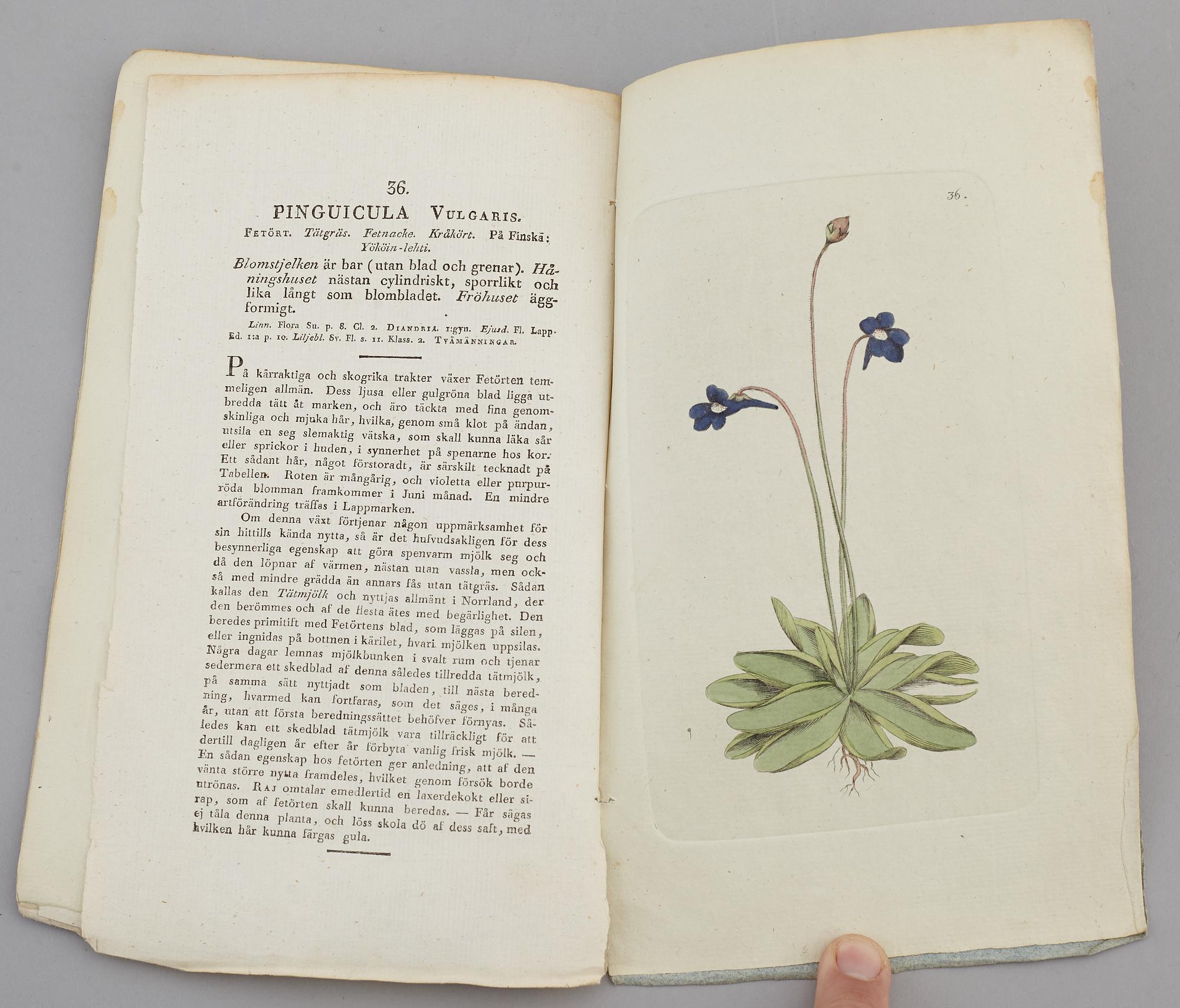 JOHAN WILHELM PALMSTRUCH, "Svensk Botanik, vol I-V. 1803-1805.