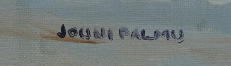 Jouni Palmu, Kristiinankaupunkia.