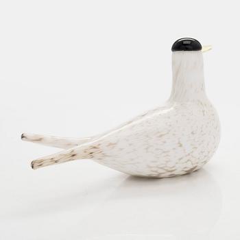 Oiva Toikka, an annual glass bird, 'Arctic tern', signed O. Toikka Nuutajärvi 2000 Sonera GSM A-sarja.