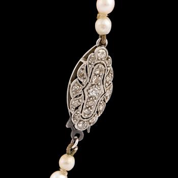 A calibrated cultured pearl necklace, clasp with diamonds.