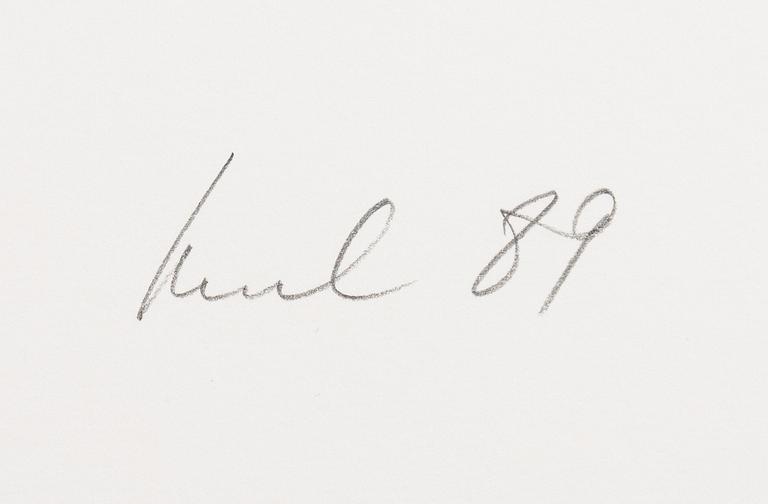 Raul Meel, "Windows and Landscape 9".