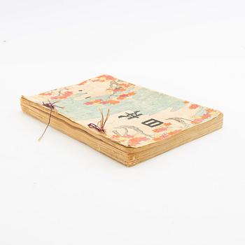 Pattern book Japan Meiji around 1900.
