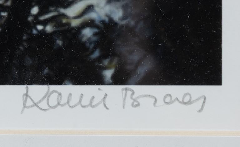 Karin Broos, "Tjärn 3".