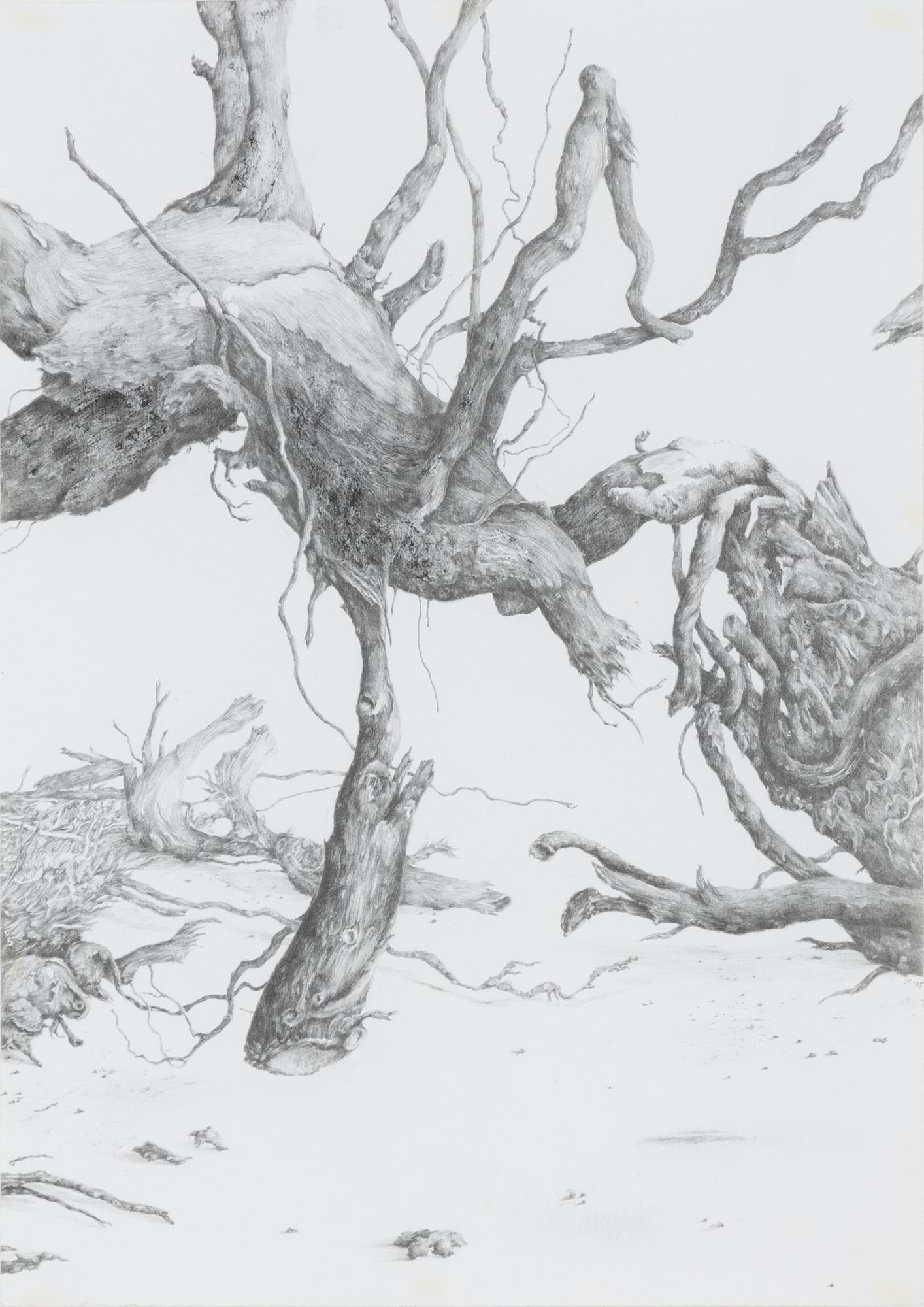 Johanna Karlsson, Untitled.