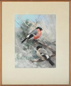 Carl Erik Ljungström · CARL ERIK LJUNGSTRÖM, pastell, signerad.