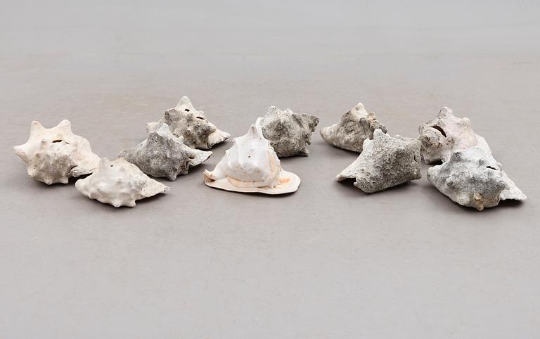 SAMLING SNÄCKOR, 10 st, 1900-tal.