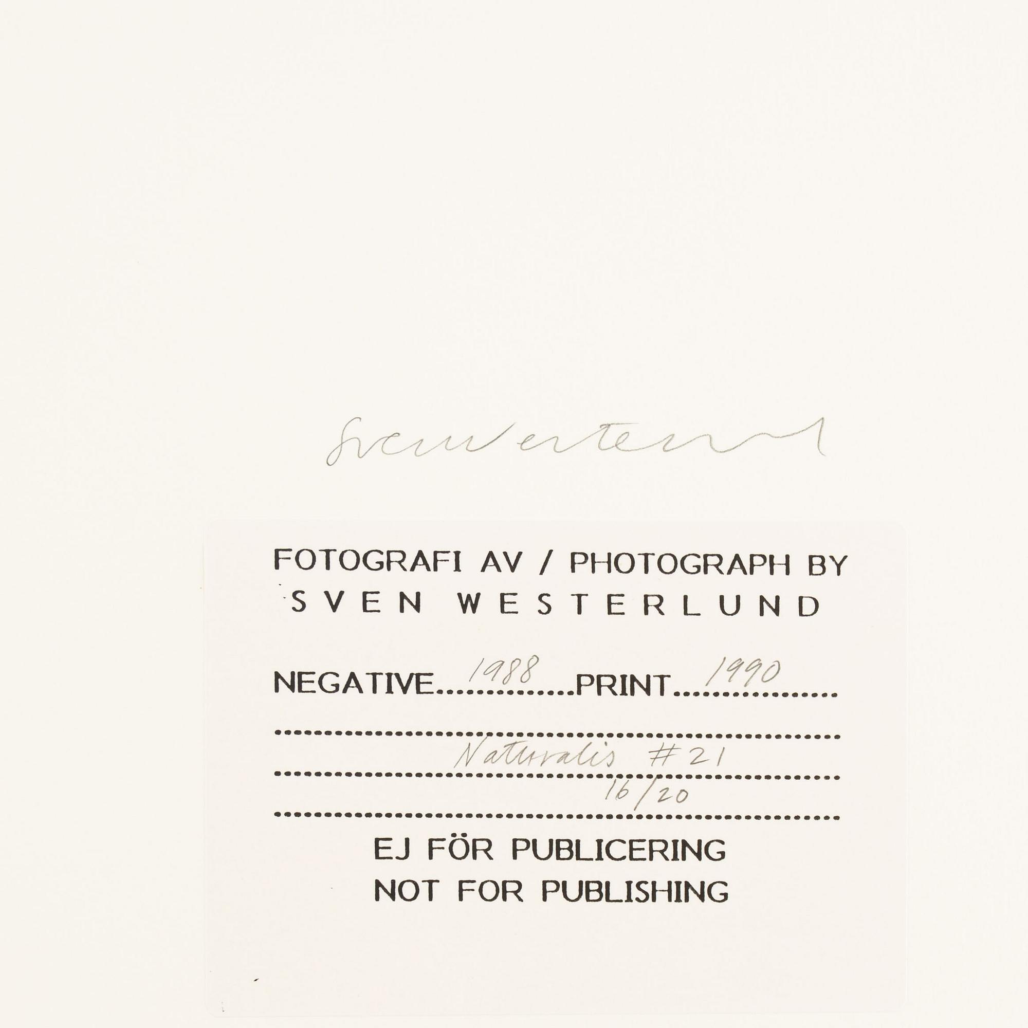 Åke E:son Lindman & Sven Westerlund, mapp, 2 + 2 fotografier, signerade 16/20.