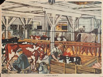 SKOLPLANSCHER, 5 st, 1900-tal.