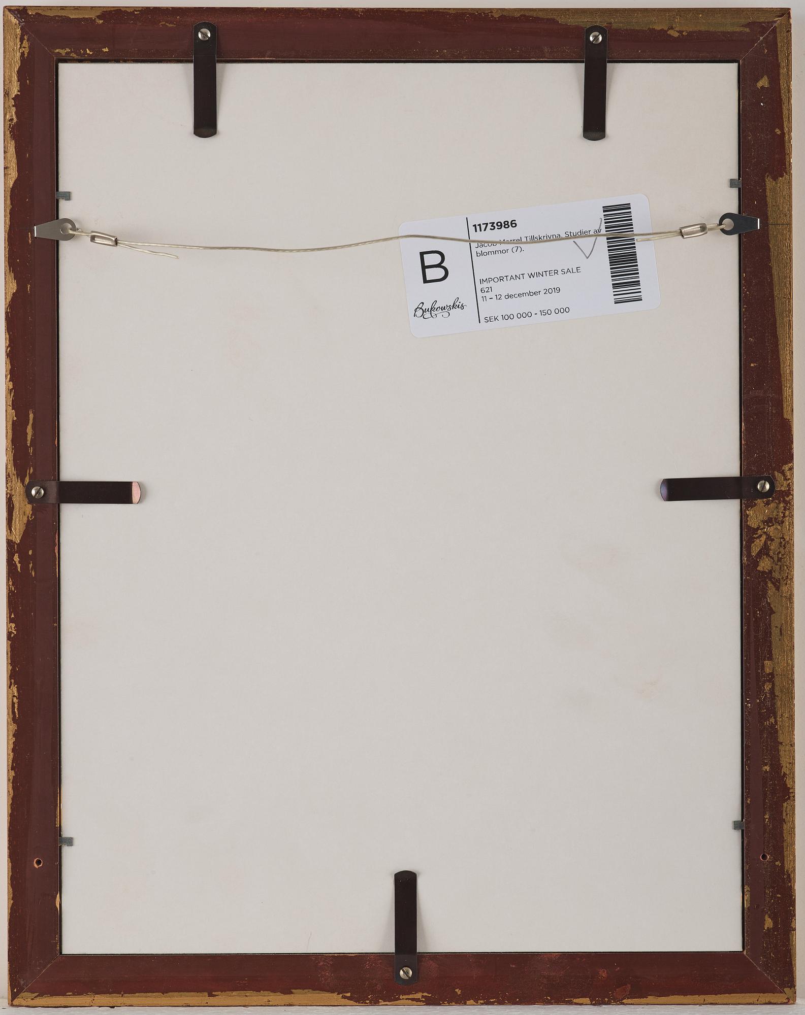 Jacob Marrel Attributed to, Study of flowers (7).