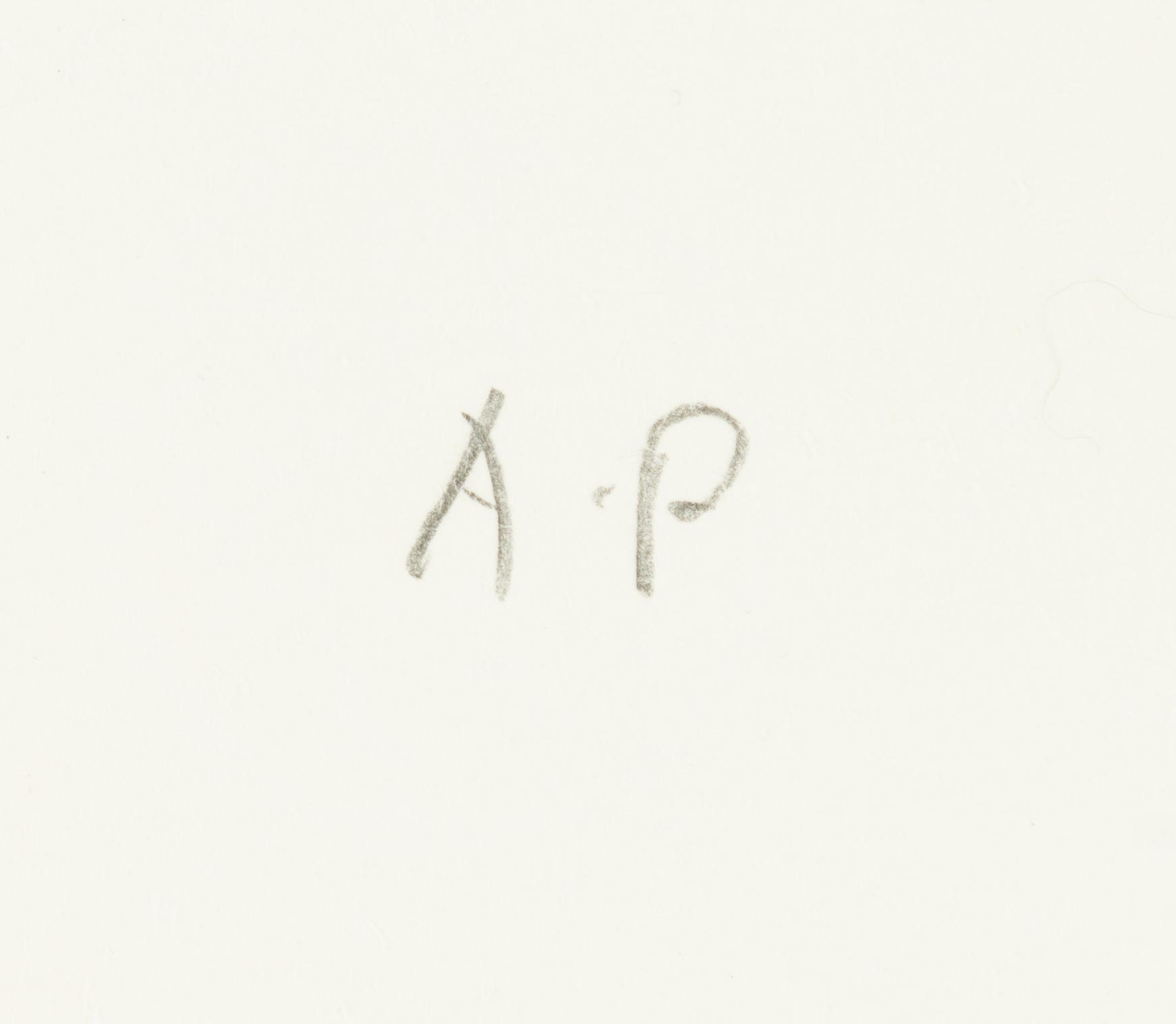 Jan Håfström,  "Material från Arkivet I".