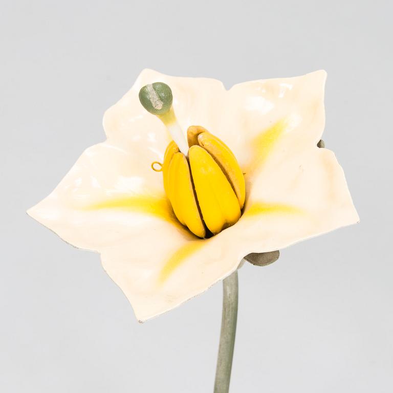 Robert Brendel & Carl Leopold Lohmeyer, A set of 4 educational materials / sculptures, "Botanic Flowers" by R. Bredel. Poland, turn of the 20th century.