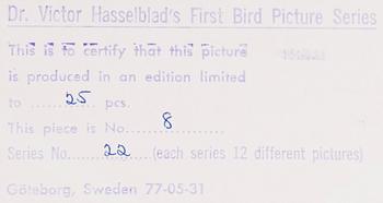 VICTOR HASSELBLAD, fotografier, 12 st, signerade, daterade och numrerade, ur serien nr 22.