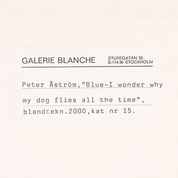 Peter Åström, " Blue- I wonder why my dog flies all the times".