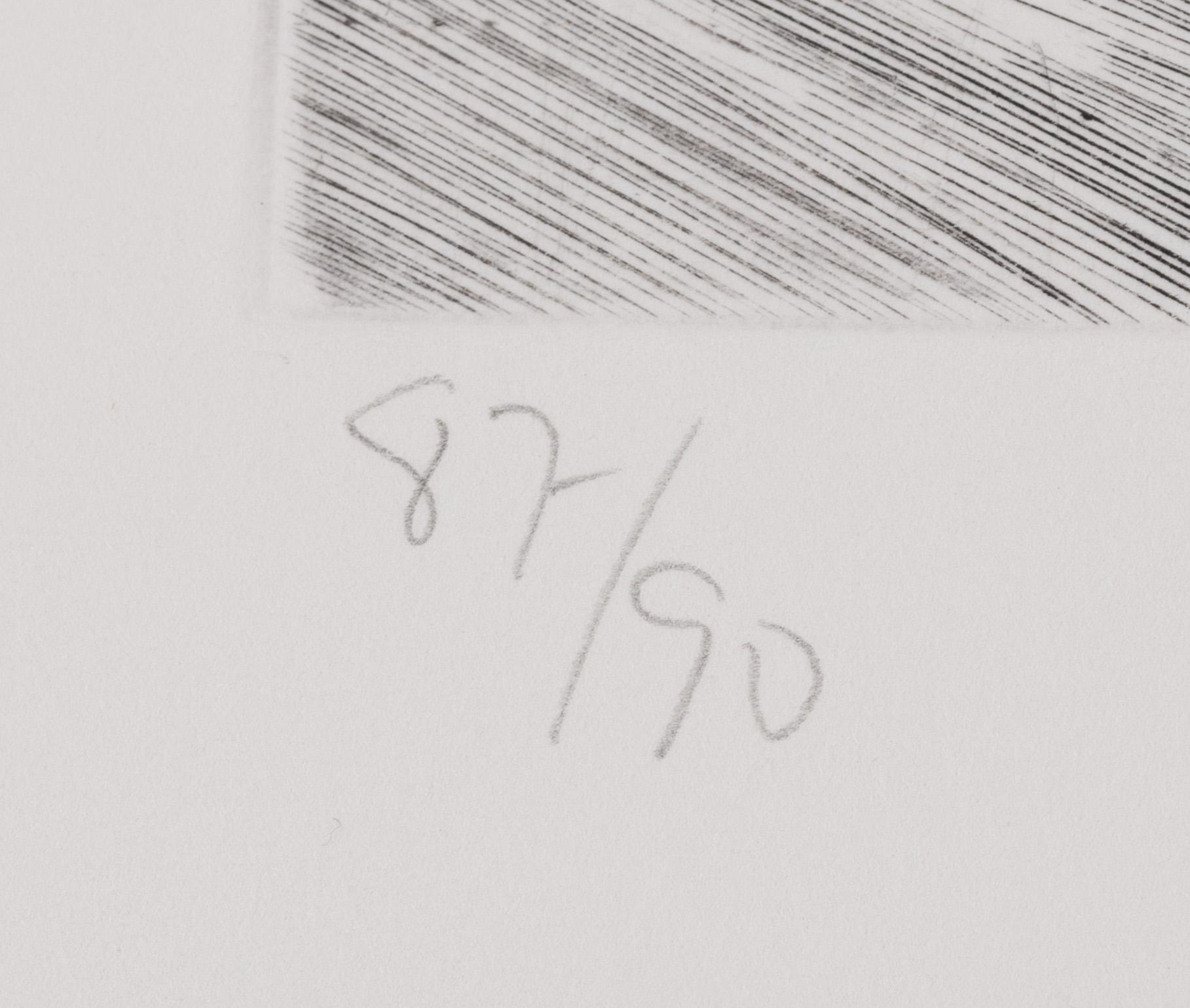 Ulf Trotzig, "King Sweeney", portfolio with nine colour etchings.