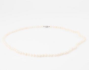 Collier längre modell med odlade pärlor med silverlås.