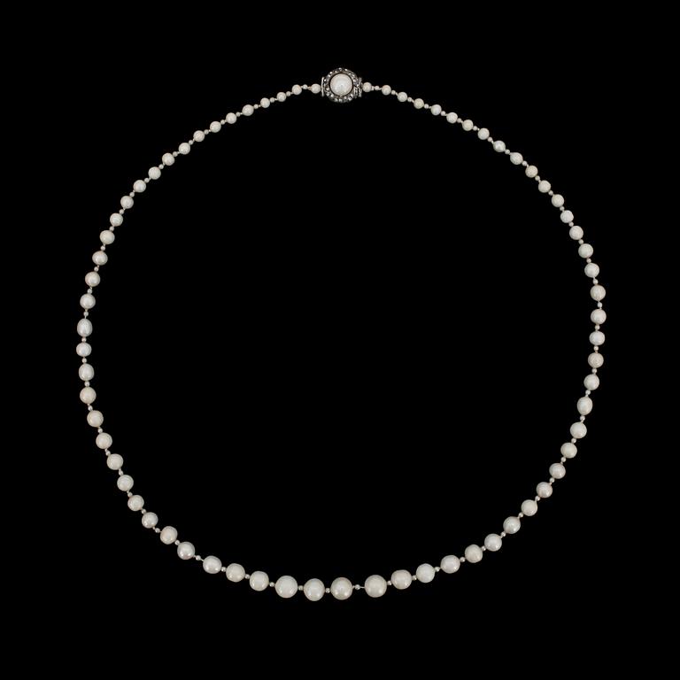 A pearl necklace by Thorndahl.