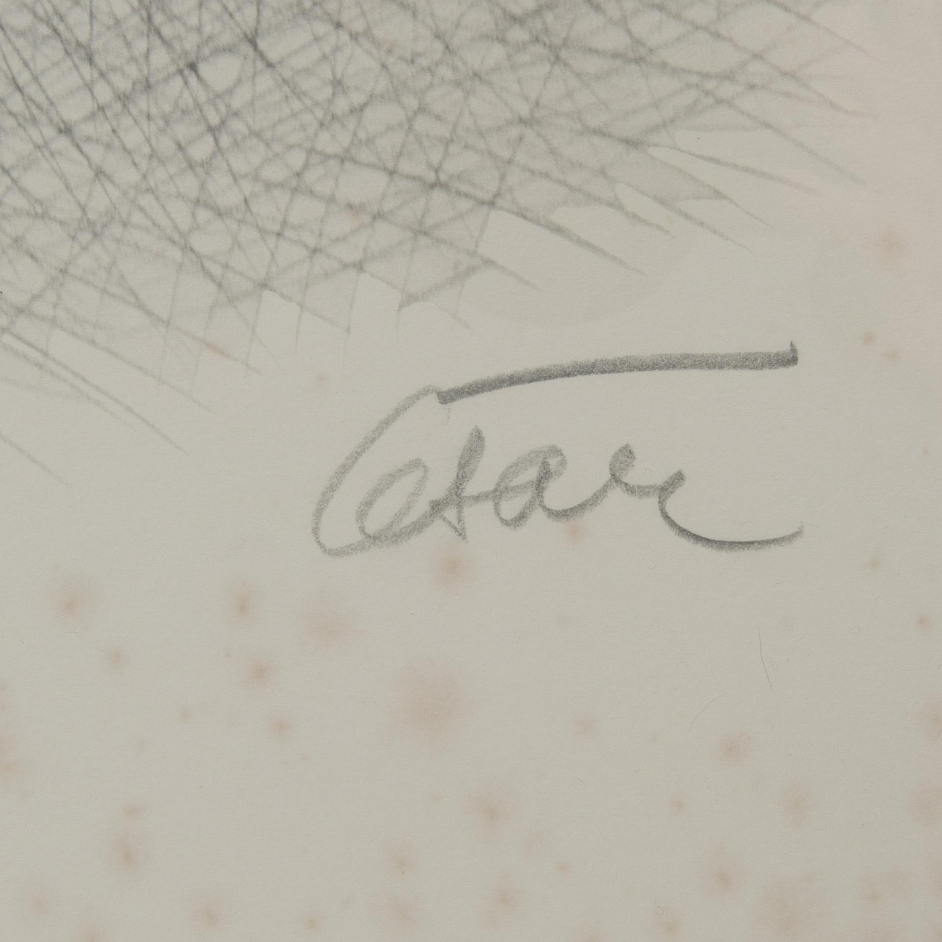 CÉSAR BALDACCINI, litografi, signerad och numrerad 33/200.