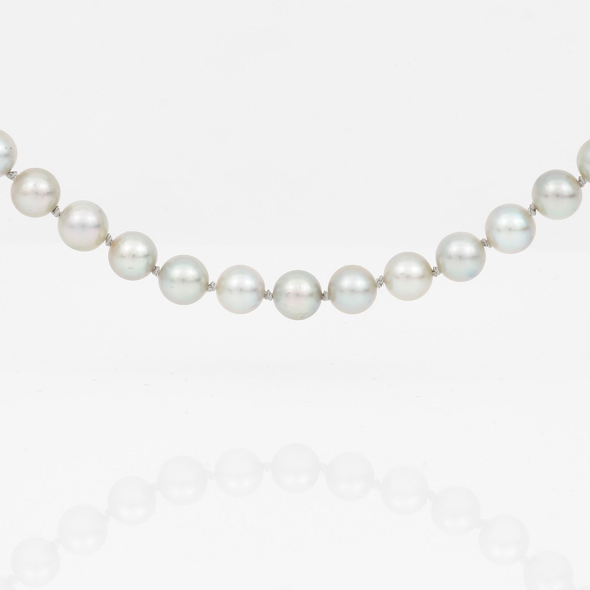 PÄRLCOLLIER, med ljusblå färgade odlade pärlor och silver lås.