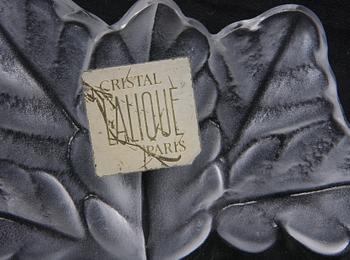 SKÅL, glas, Lalique France.