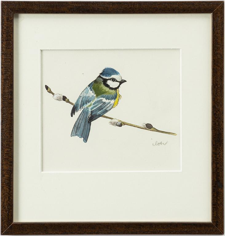 Ilon Wikland, Blue tit on a willow branch.