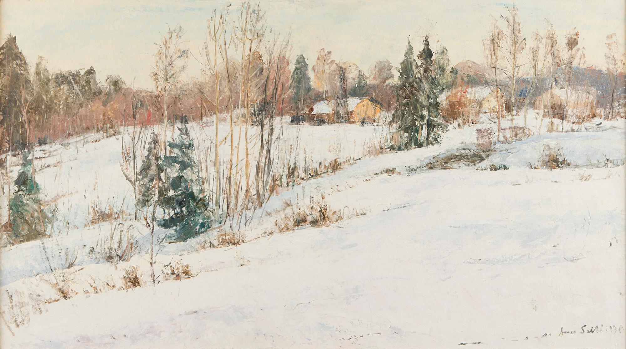 Aares Salli, Vinterlandskap.