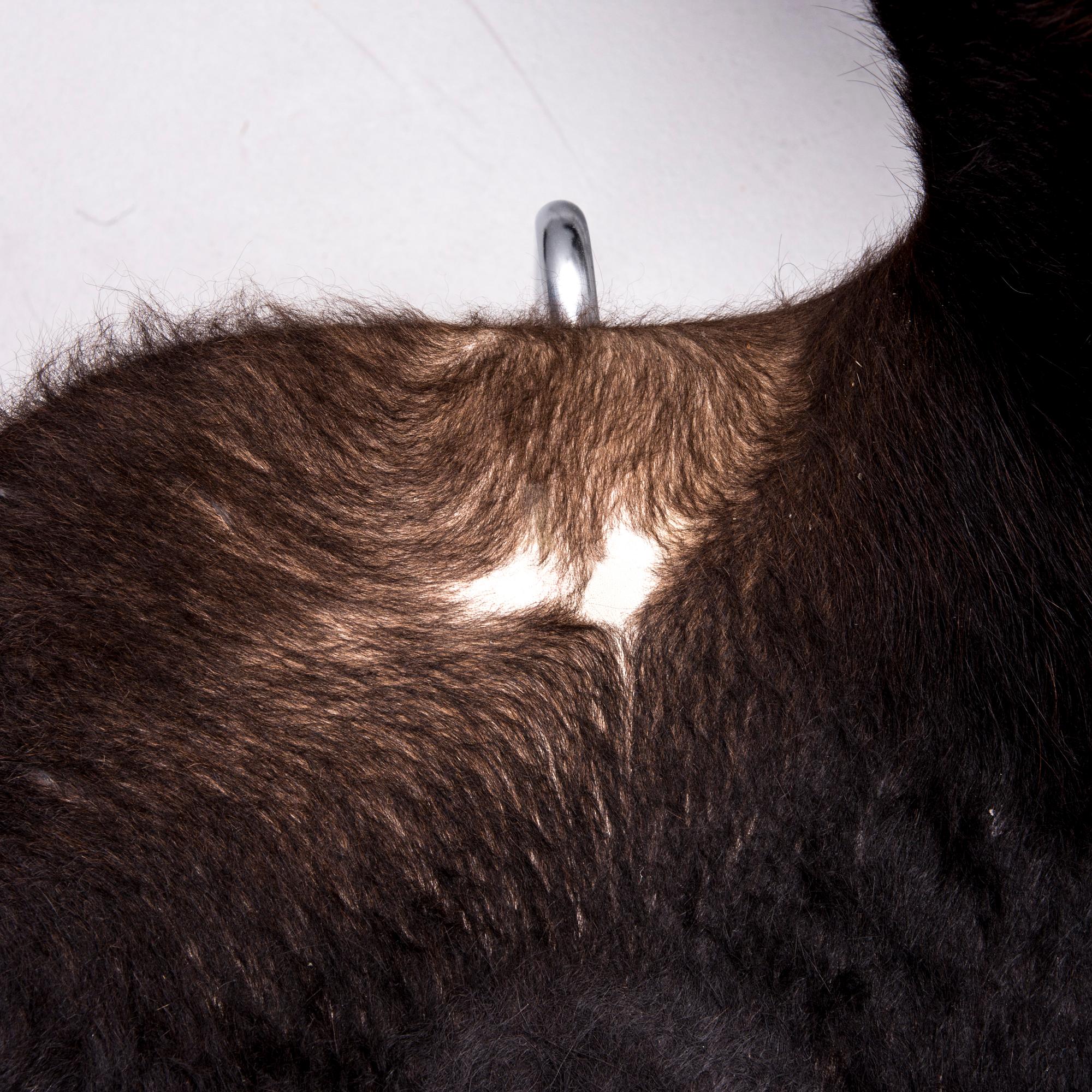 STOLAR, 6 st, "Sjuan" Arne Jacobsen, Fritz Hansen.