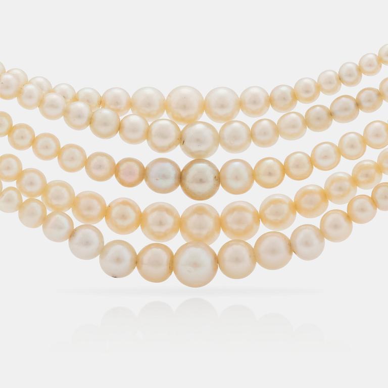 A 5-strand natural saltwater pearl necklace (one pearl cultured) Clasp with diamonds. Certificate from GCS.