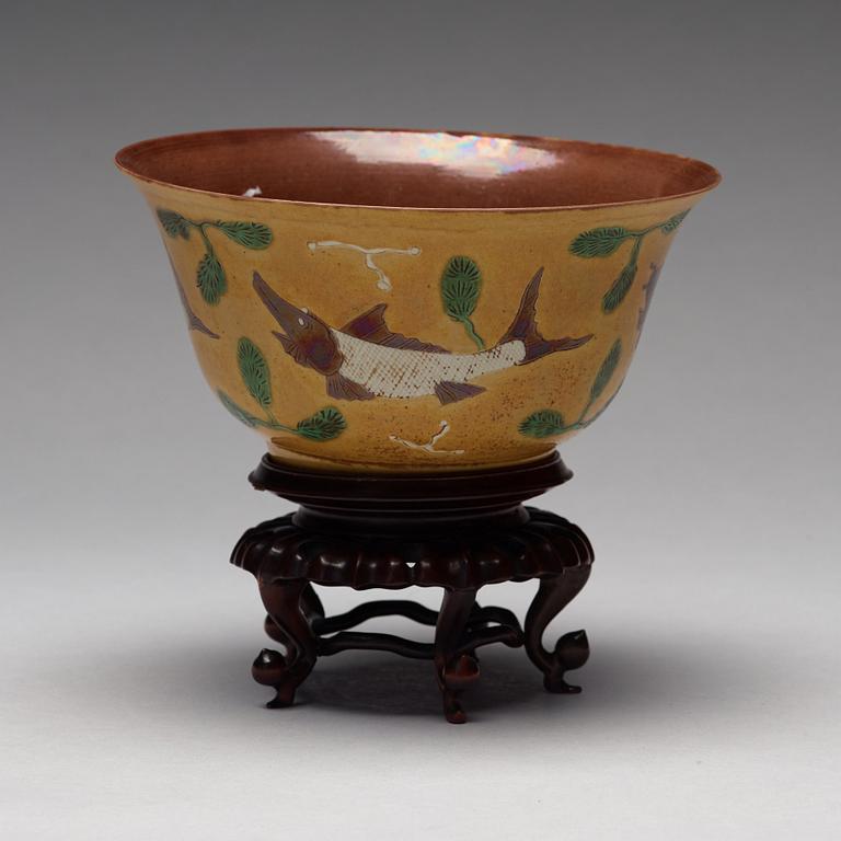 SKÅL, biskvi. Qingdynastin, Kangxi (1662-1722).