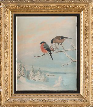 Matti Karppanen, Two Bullfinches.