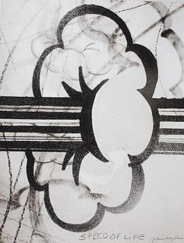 Joakim Allgulander · JOAKIM ALLGULANDER, serigrafi, "Speed of life" signerad och numrerad 14/50.