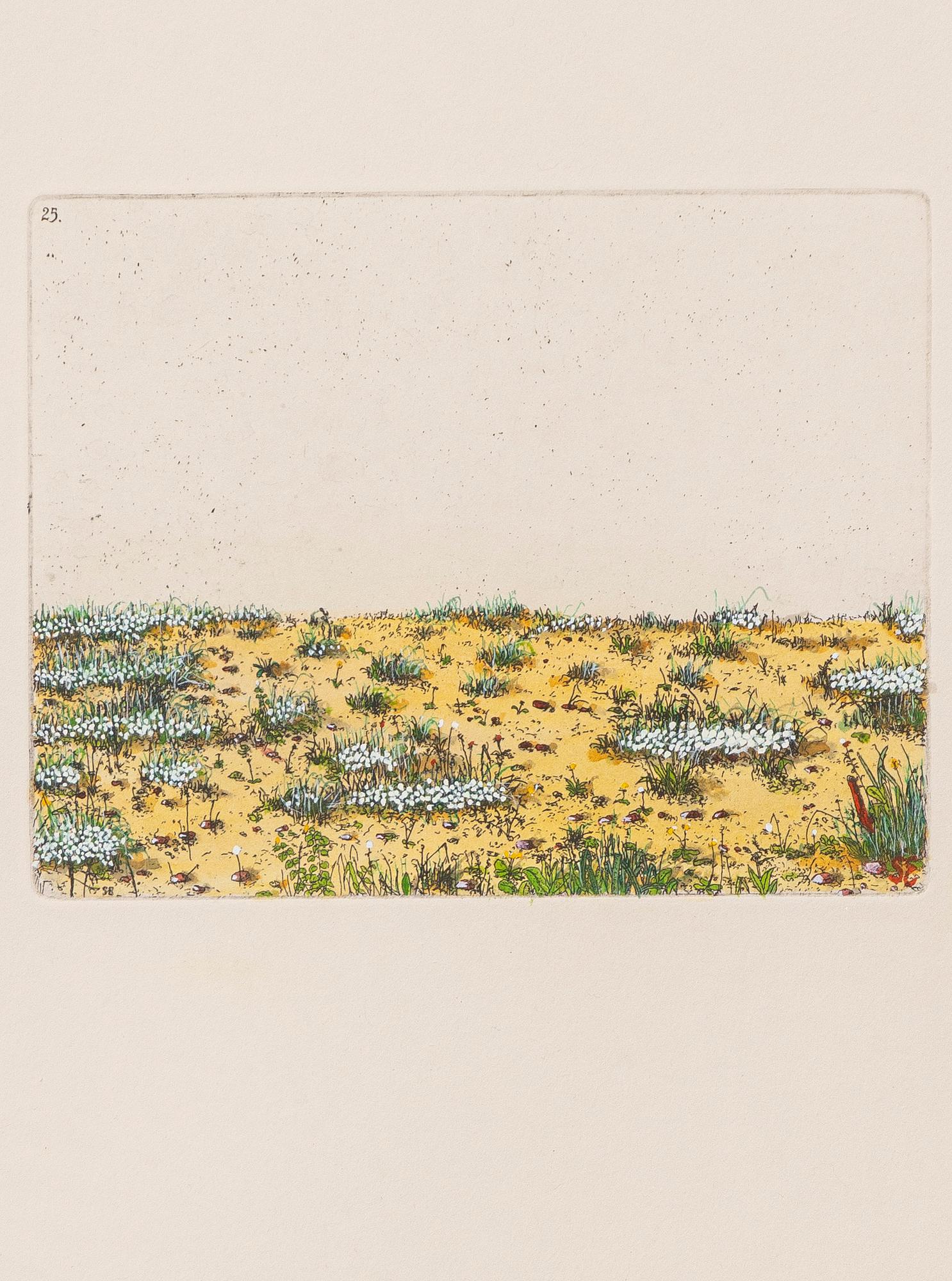 Sten Eklund, "Översiktsbild av den ditintills rådande vegetationstypen" Ur "Kullahusets hemlighet".