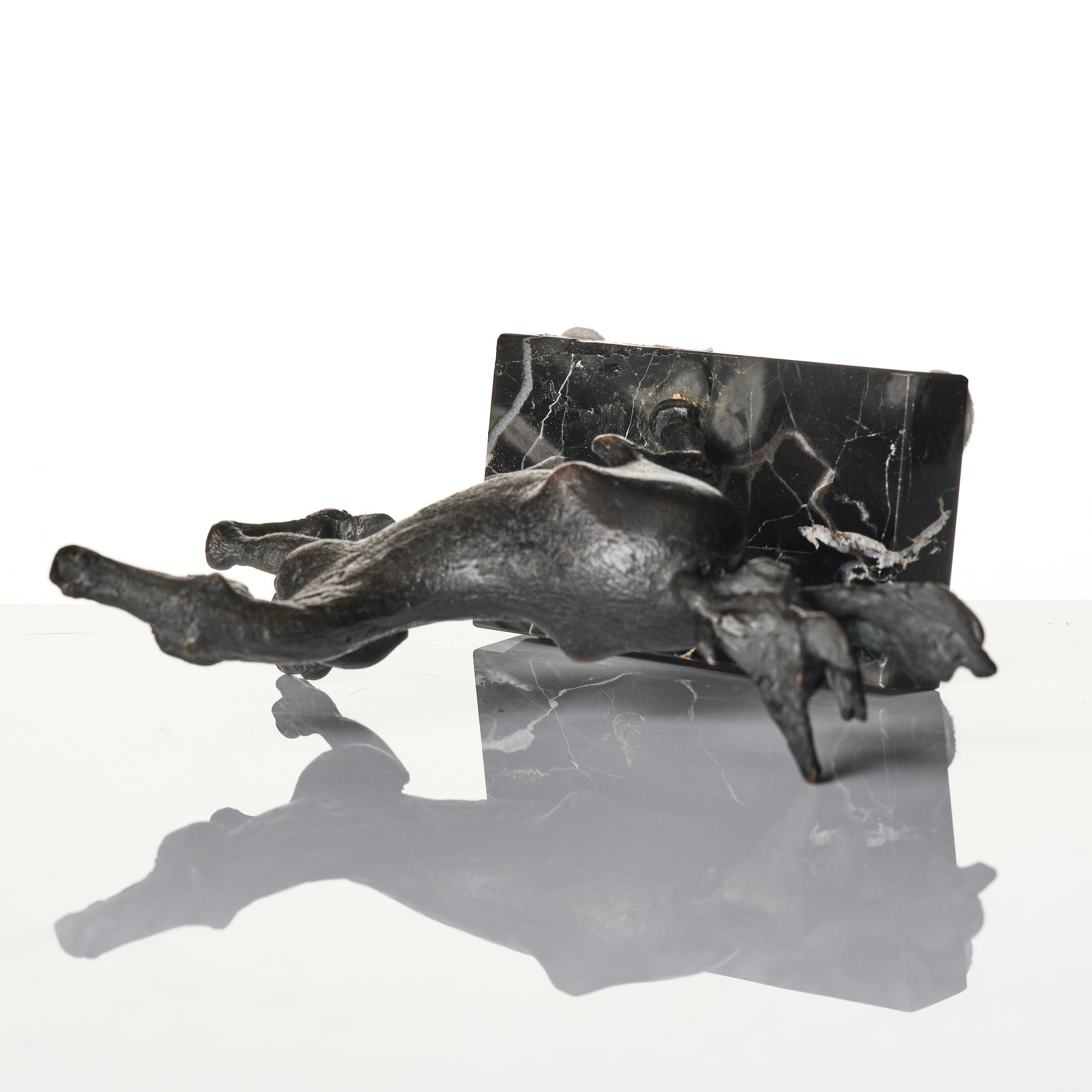 Sergio Capellini, stegrande häst.