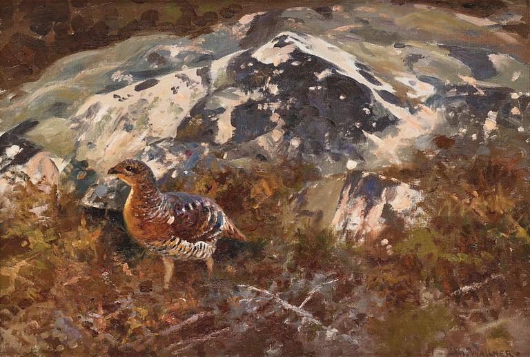 Thure Wallner, Orre.