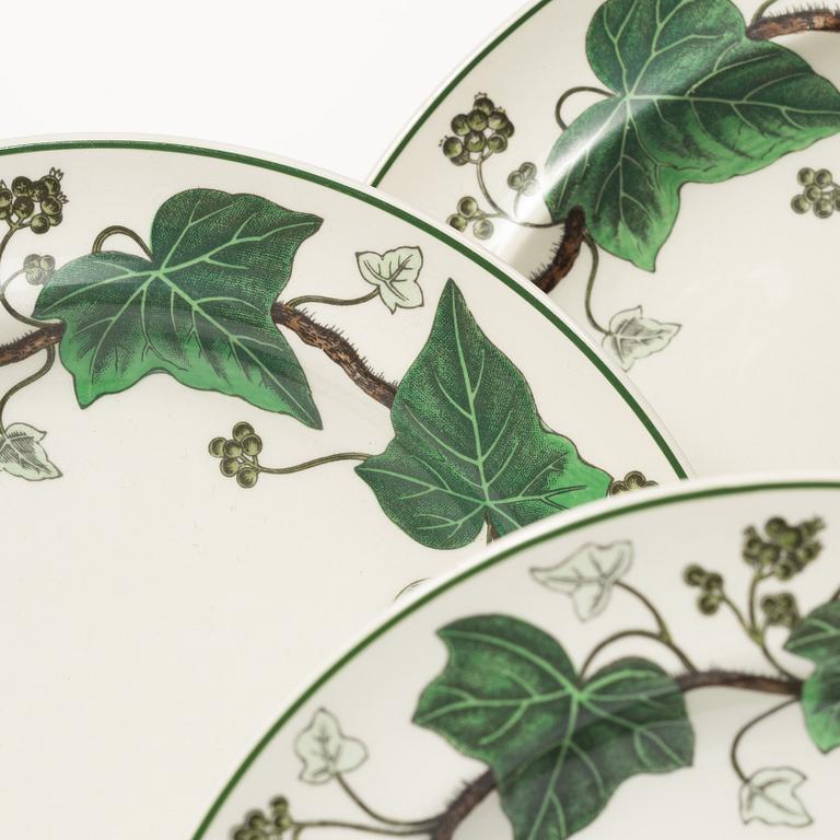 Service pieces, 36 pcs, ironstone, "Napoleon Ivy", Wedgewood.