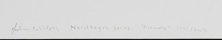 Joakim Eskildsen, "Fireworks", 1991.