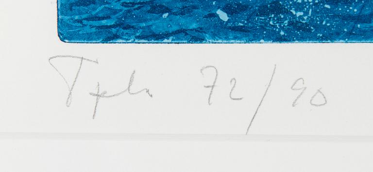 Päivi Lempinen, Meri.