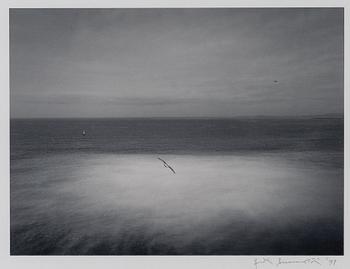 Pentti Sammallahti, Untitled.