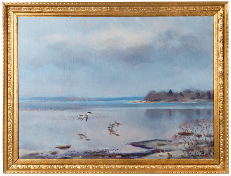 Lindorm Liljefors, BIRDS BY THE SHORE, ÅLAND.