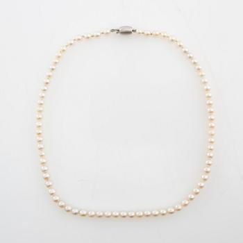 Halsband av odlade pärlor med lås av 14K vitguld.