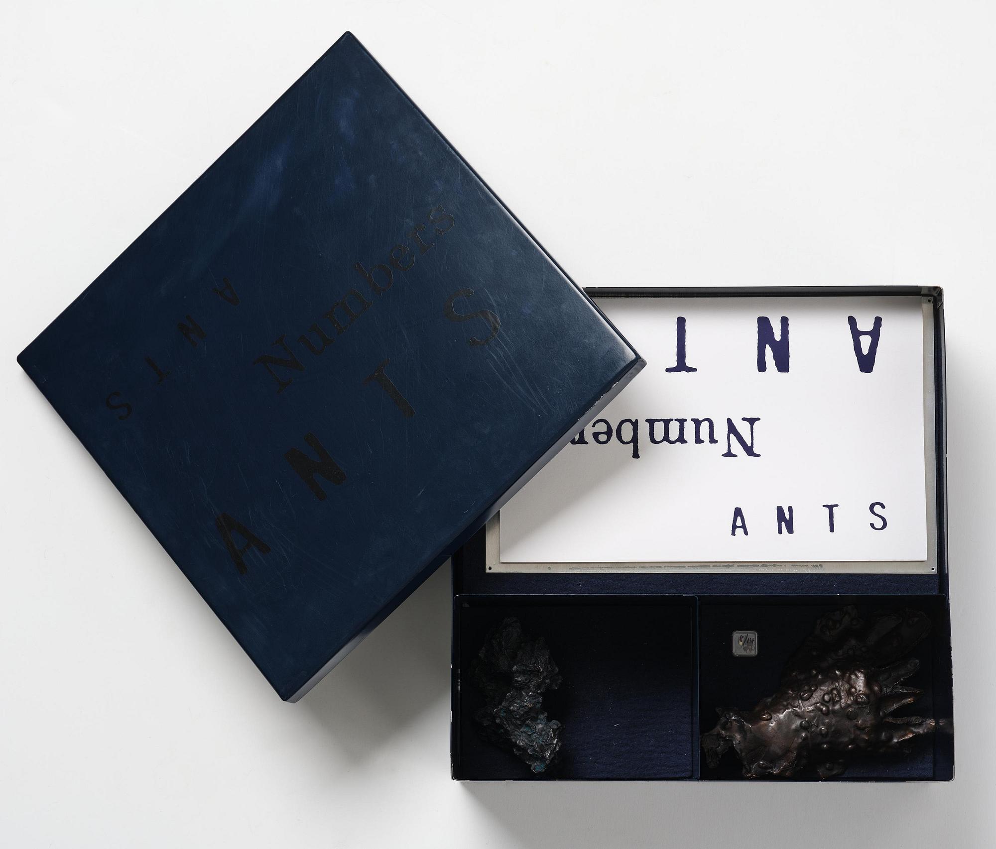 Rosemarie Trockel & Kirsten Ortwed, "Blue Box", 1990.