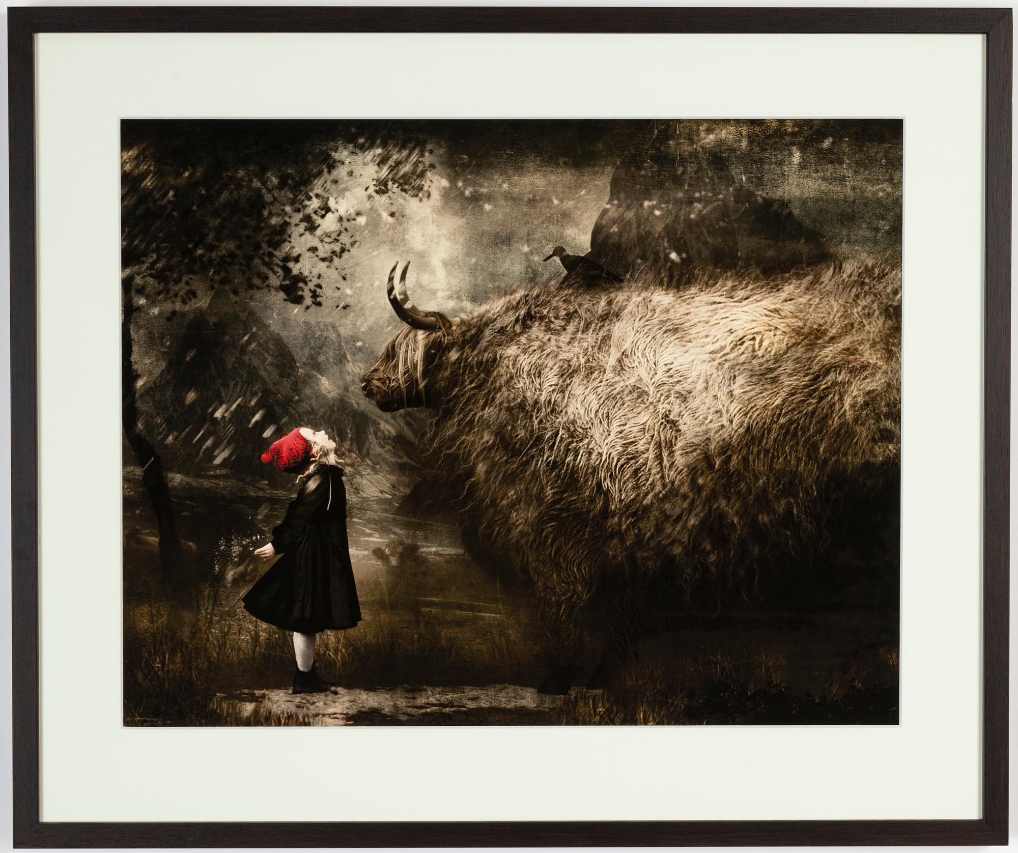 Cooper & Gorfer, archival pigment print, signerad 255/375 a tergo.