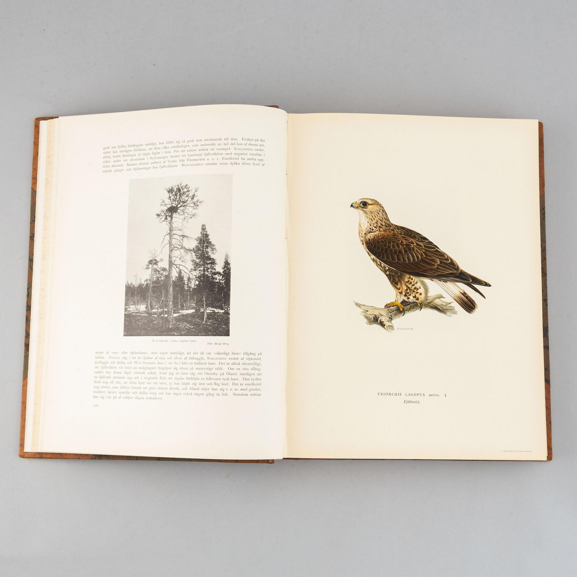 Bröderna von Wright , bokverk, 3 band, "Svenska fåglar", Börtzells tryckeri AB, Stockholm, 1924-1929.