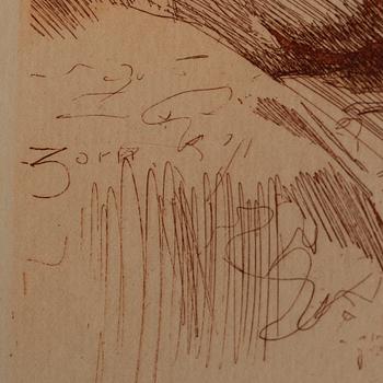 ANDERS, ZORN, Etsning. "Modellstudie". Utförd 1884.