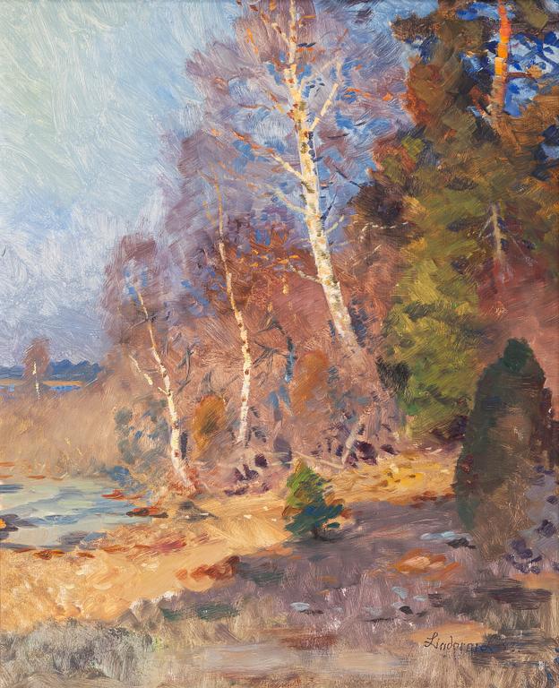 Lindorm Liljefors, Lake shore.