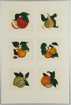 Dan Mitra, a suite of six etchings, framed together.