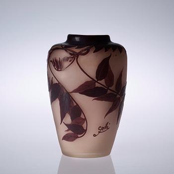 VAS, glas, Emile Gallé, Nancy, Frankrike, jugend.