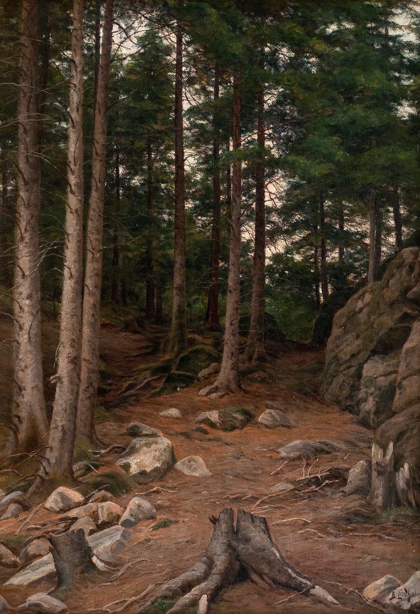 Berndt Lindholm, SOLNEDGÅNG I SKOGEN.